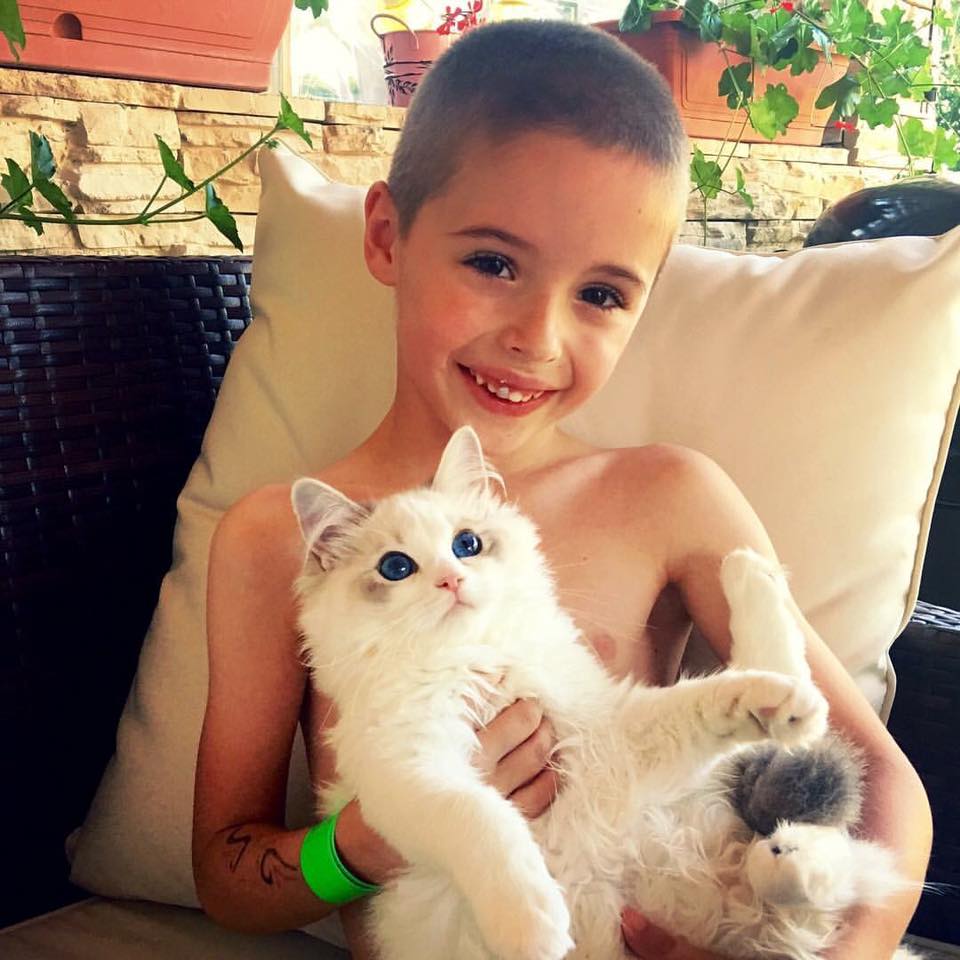 /images/Galeria/Cicák-gyerekek (Cats&Chirldren)/13902600_285124275188607_6147264064125647951_n.jpg